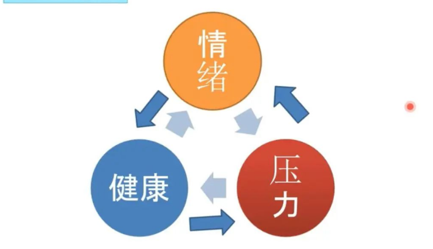 49c487a165754452a64b111c7e683bb0.png
