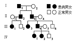 28b844e45f8740c3b6e65930535a3243.png