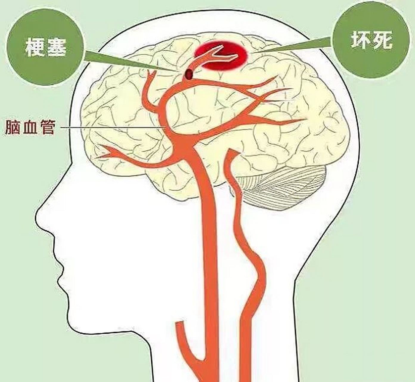 28b844e45f8740c3b6e65930535a3243.png