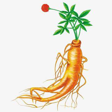 28b844e45f8740c3b6e65930535a3243.png