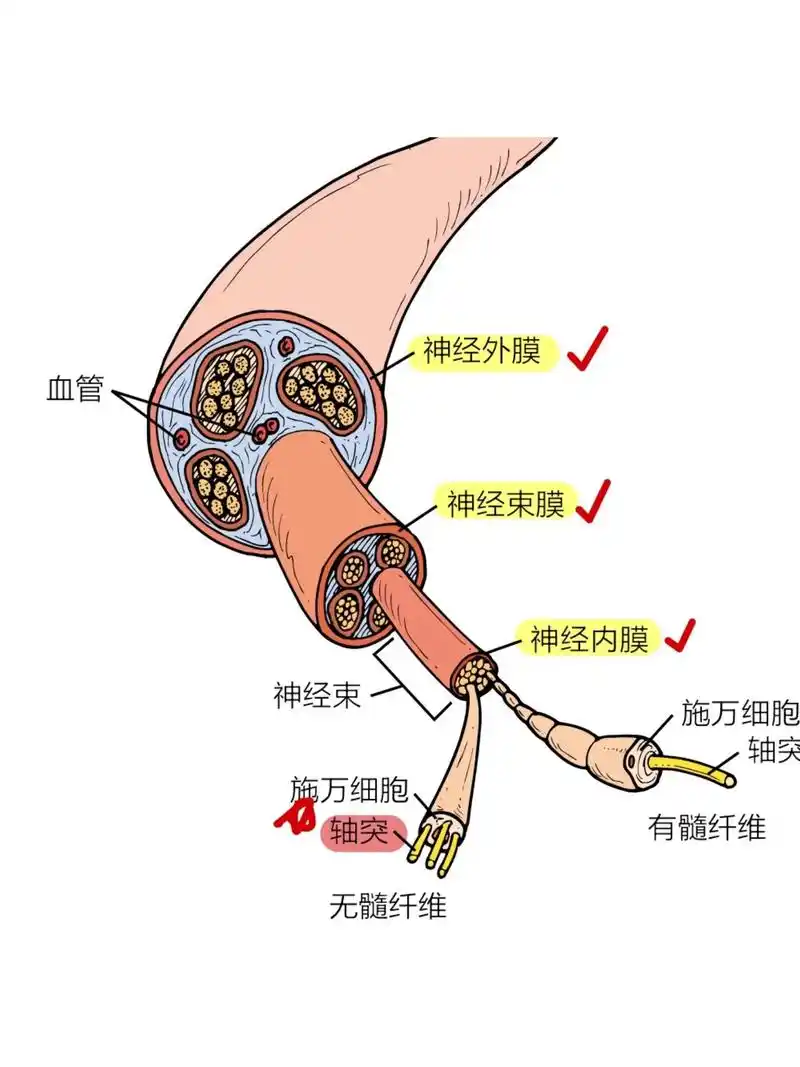 28b844e45f8740c3b6e65930535a3243.png