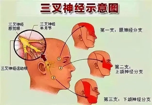 640.webp (10).jpg