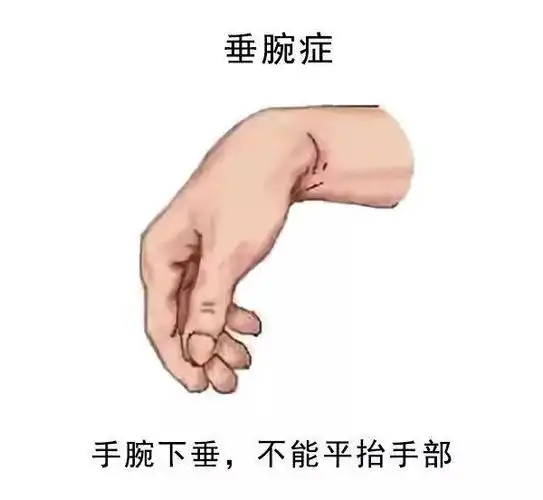微信图片_20250606115853.png