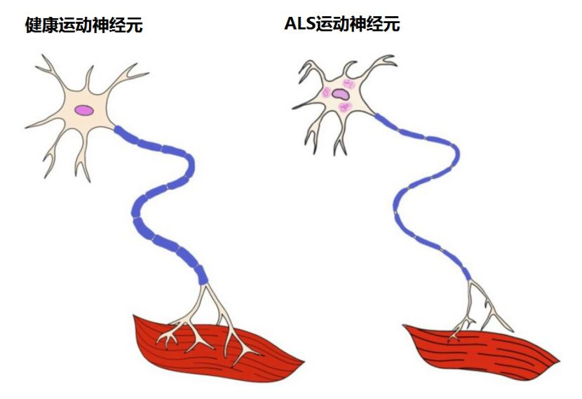 微信图片_20250607141100.png