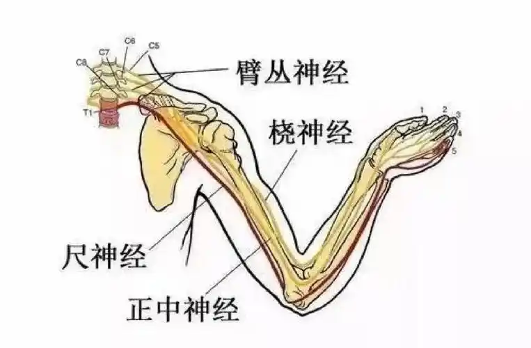 微信图片_20250616153857.png