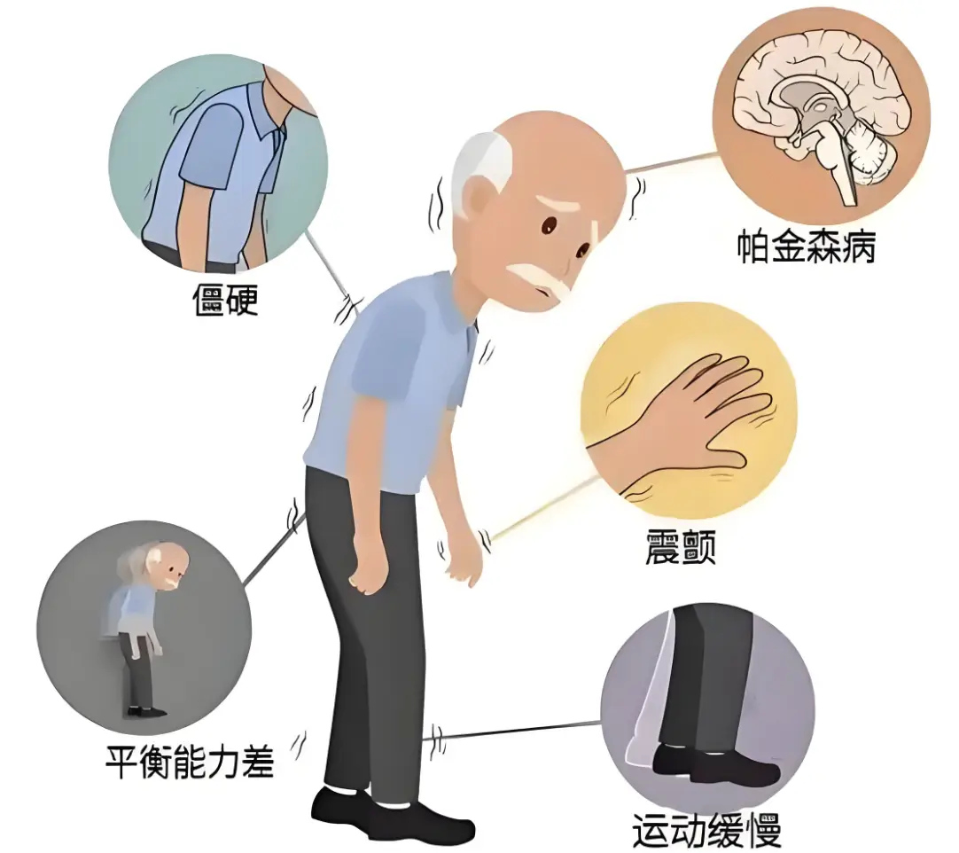 微信图片_20250610153632.png