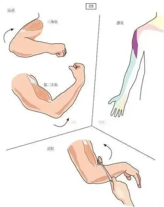 微信图片_20250614154617.png