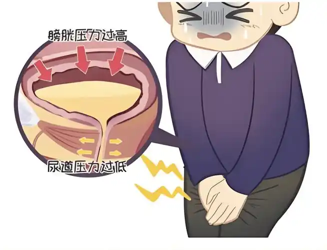 脊髓损伤后大小便功能障碍:能否恢复?