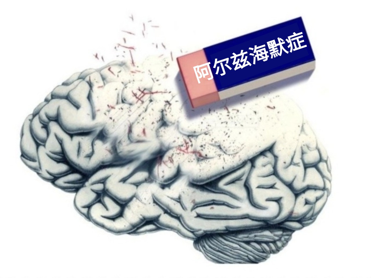 微信图片_20250607141100.png