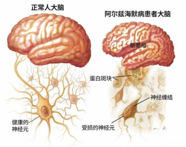 微信图片_20250607141309.png