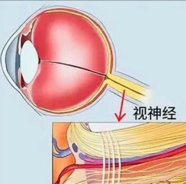 微信图片_20250607141100.png