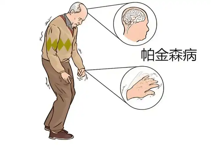 h.png